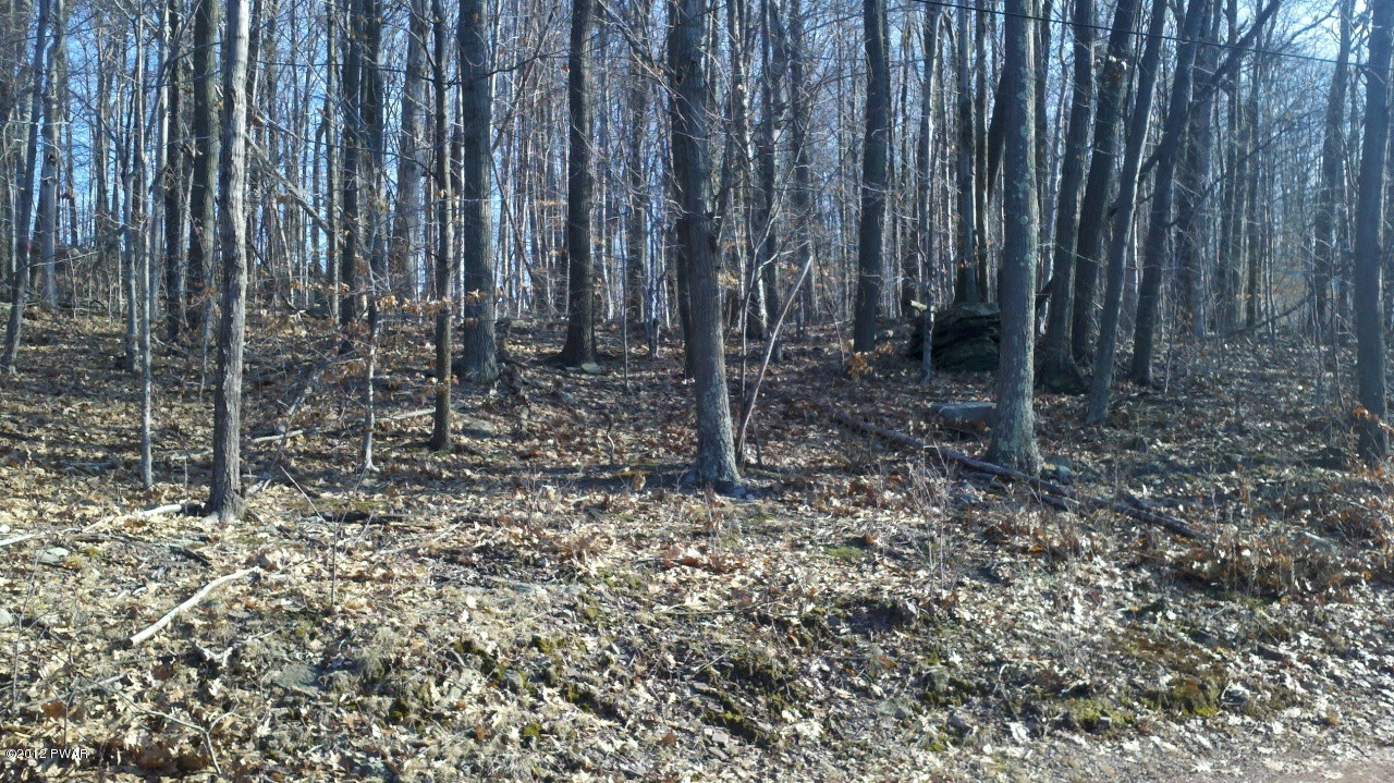 5 Forever Green Road Lakeville, PA 18438 - Photo 6 of 9