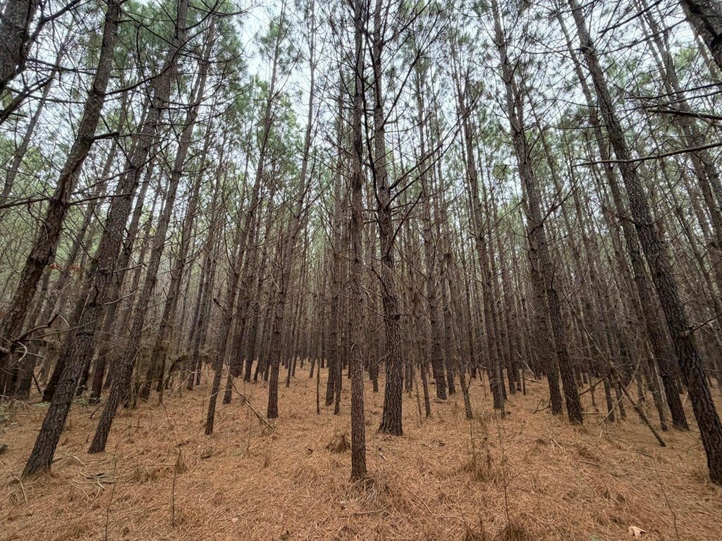 Harristown Road Macon, NC 27551 - Photo 6 of 7 Gallery Image 6
