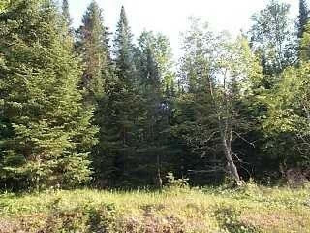 Lot 3 Weber Road Manitowish Waters, WI 54545 - Photo 4 of 4 Gallery Image 4
