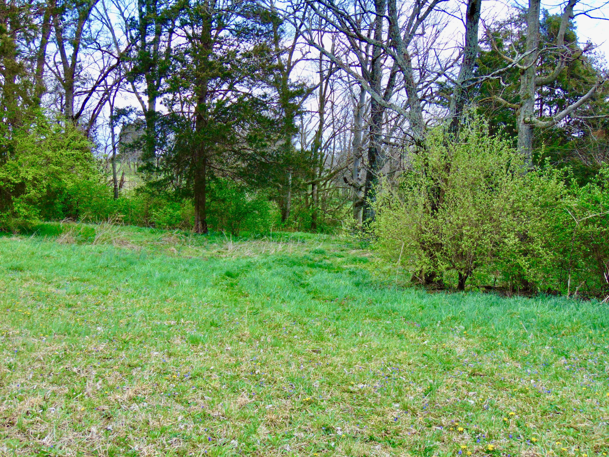587 Concord Road Richmond, KY 40475 - Photo 19 of 36 31E34A9B-8C75-4371-B3C9-926F9BCAD395_1_2