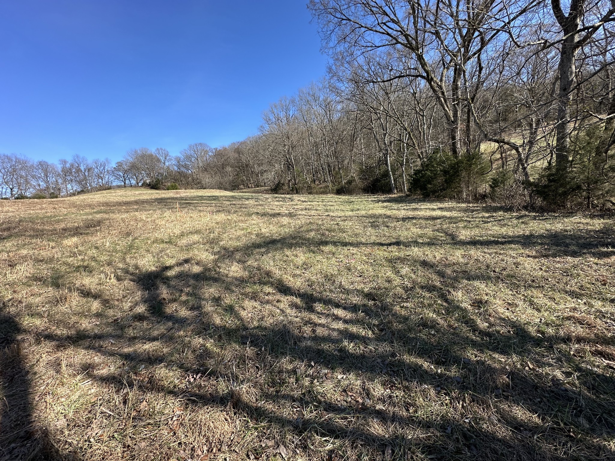 267 Grant Road Gordonsville, TN 38563 - Photo 14 of 65 Gallery Image 14