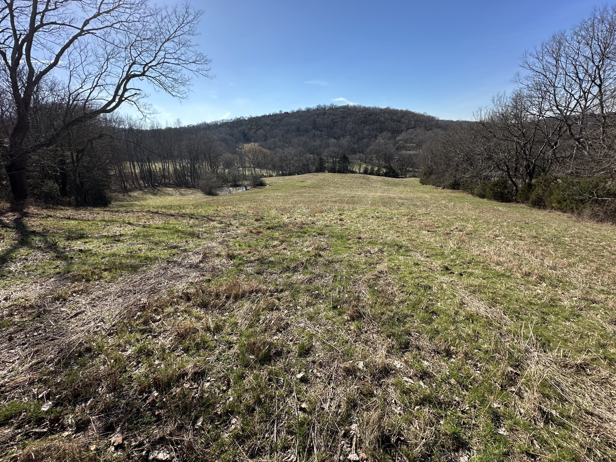 267 Grant Road Gordonsville, TN 38563 - Photo 17 of 65 Gallery Image 17
