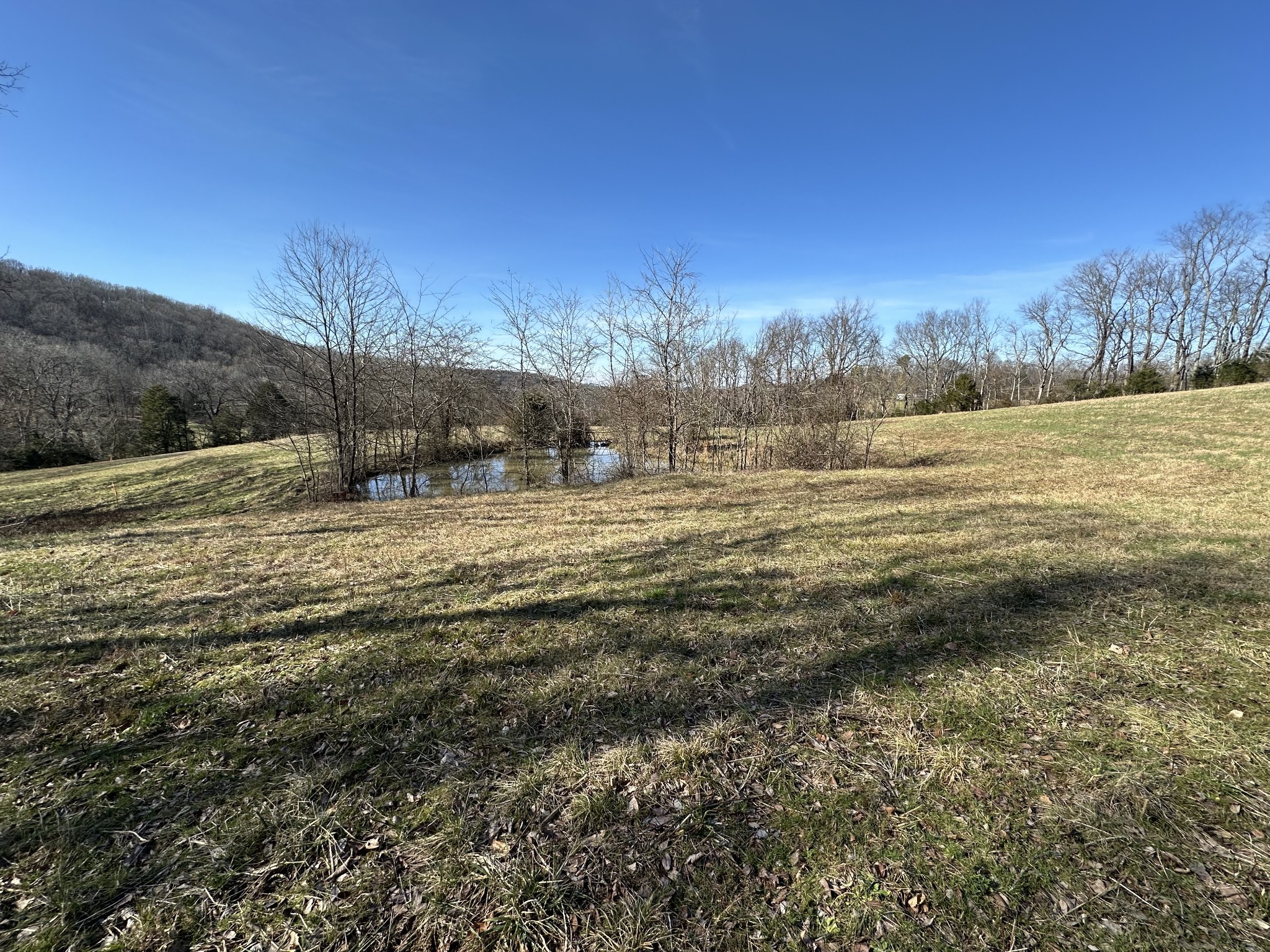 267 Grant Road Gordonsville, TN 38563 - Photo 18 of 65 Gallery Image 18
