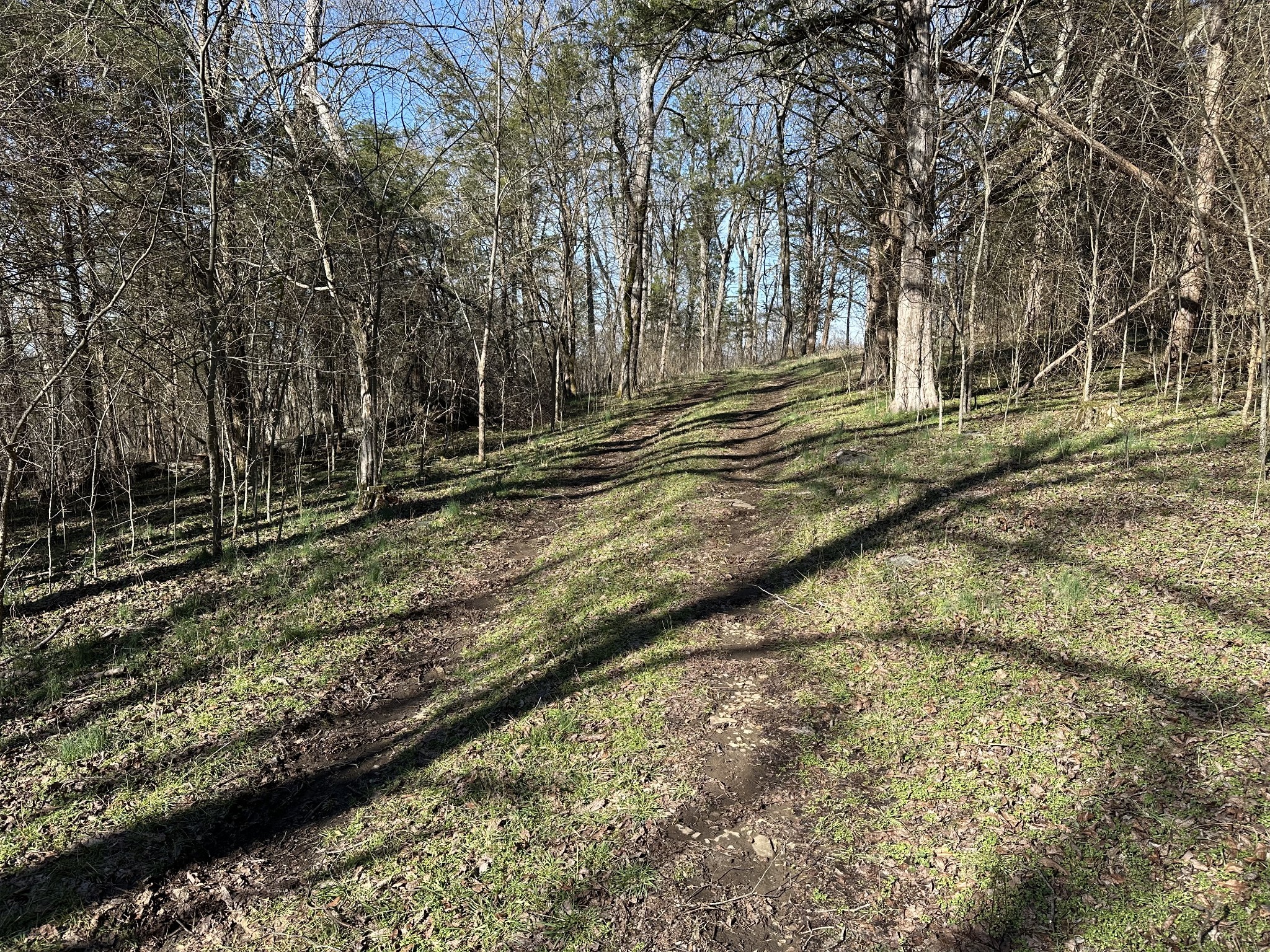 267 Grant Road Gordonsville, TN 38563 - Photo 20 of 65 Gallery Image 20