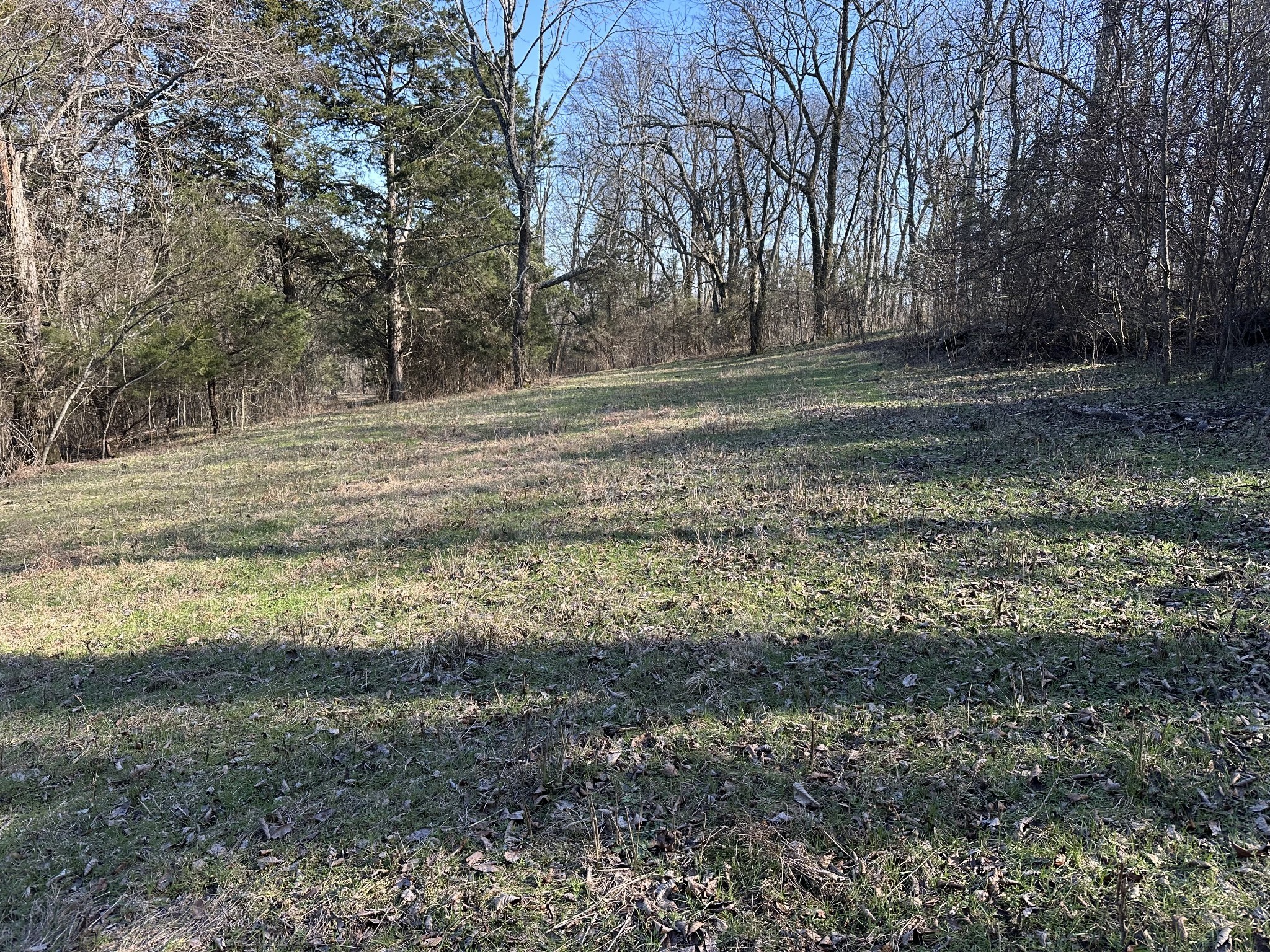 267 Grant Road Gordonsville, TN 38563 - Photo 24 of 65 Gallery Image 24