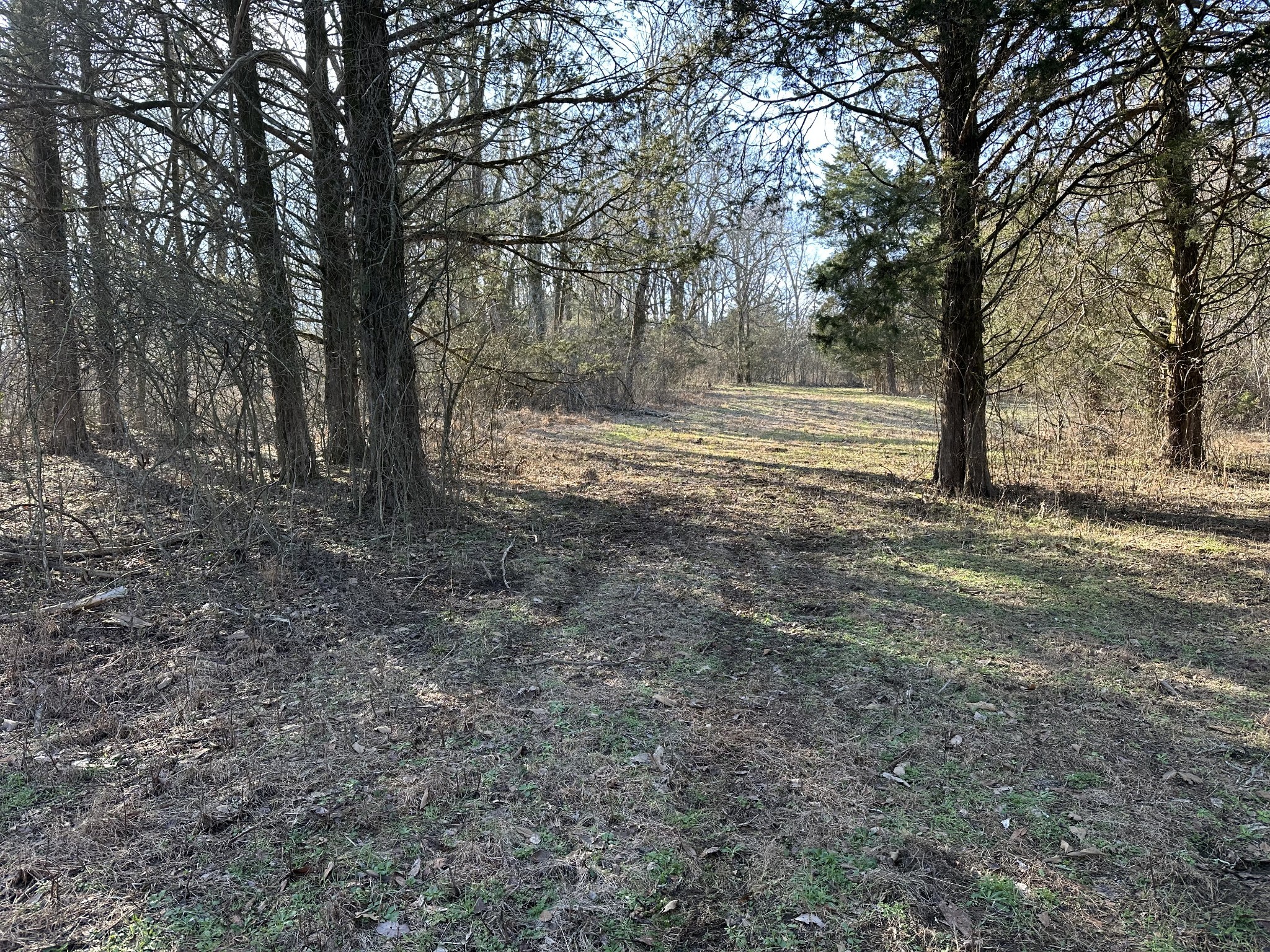 267 Grant Road Gordonsville, TN 38563 - Photo 26 of 65 Gallery Image 26