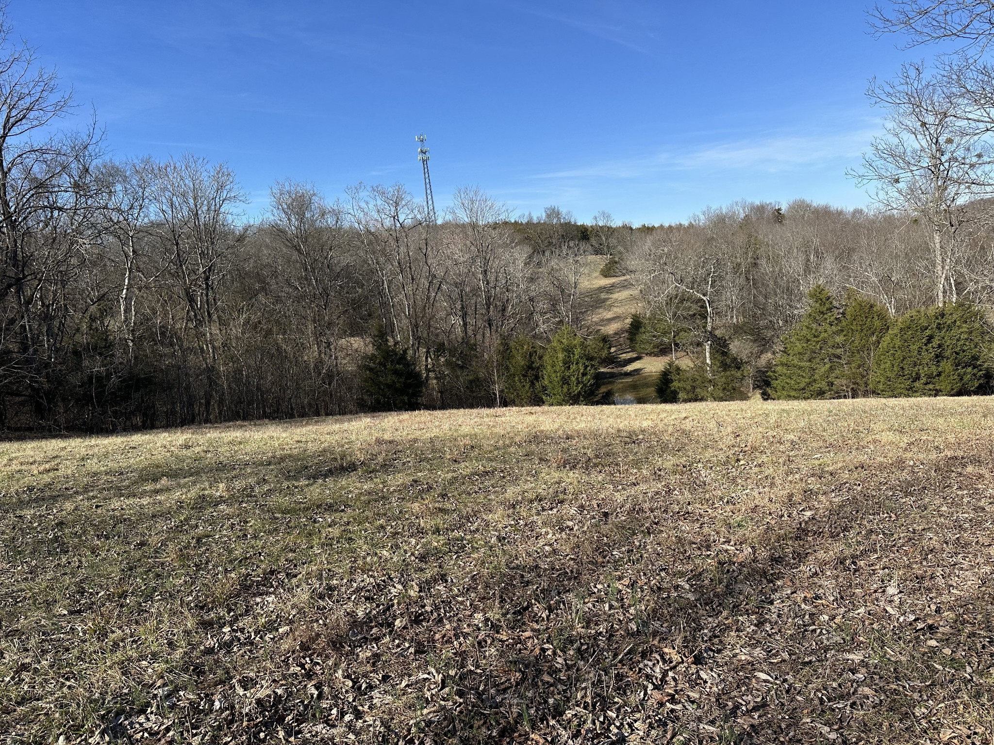 267 Grant Road Gordonsville, TN 38563 - Photo 29 of 65 Gallery Image 29