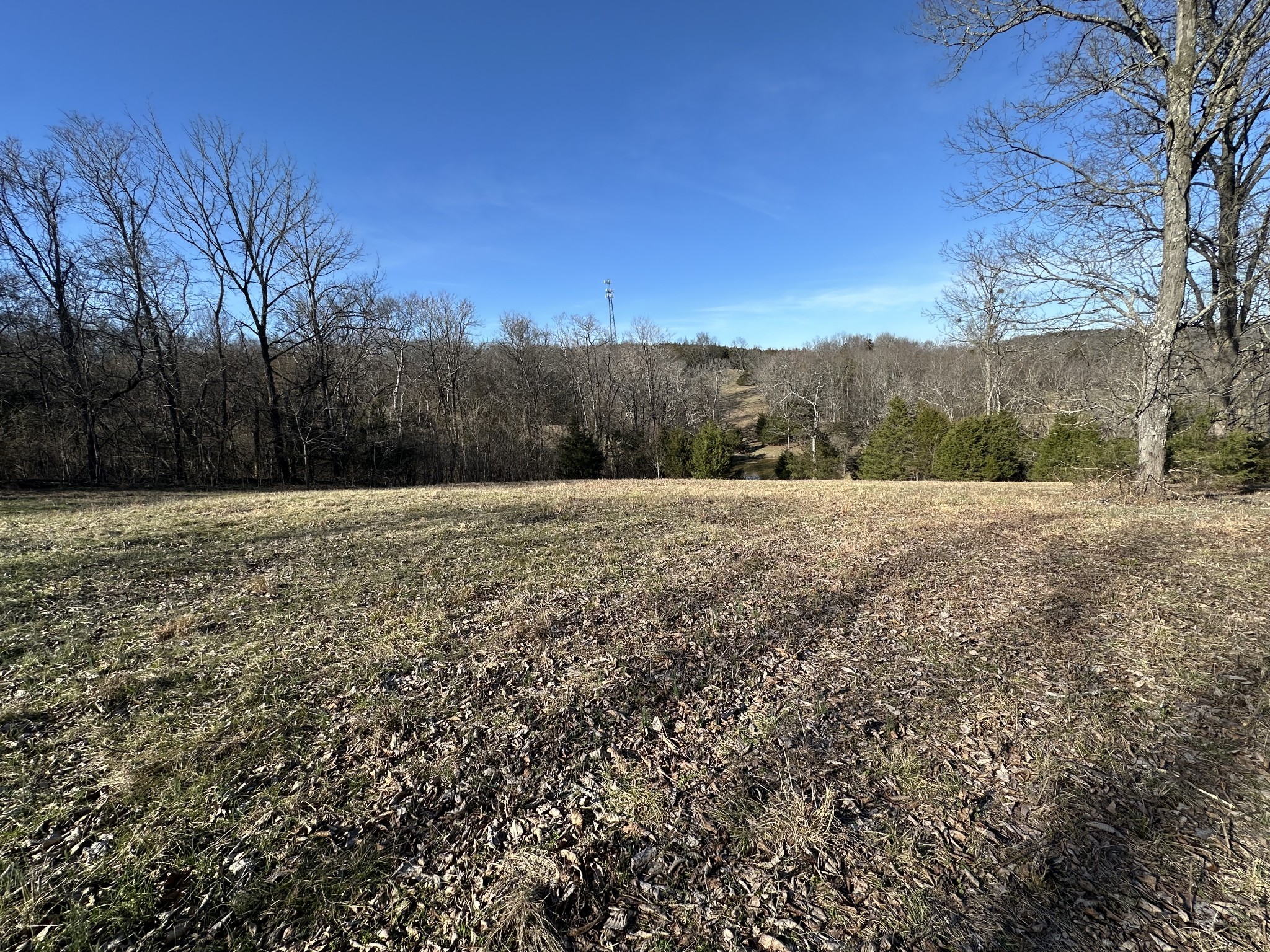 267 Grant Road Gordonsville, TN 38563 - Photo 31 of 65 Gallery Image 31