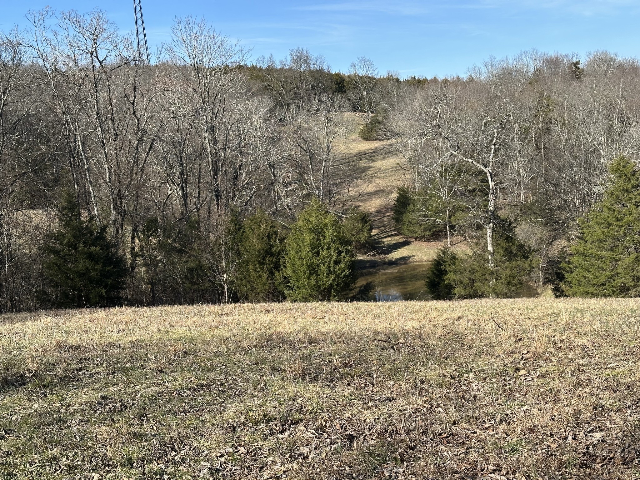 267 Grant Road Gordonsville, TN 38563 - Photo 33 of 65 Gallery Image 33