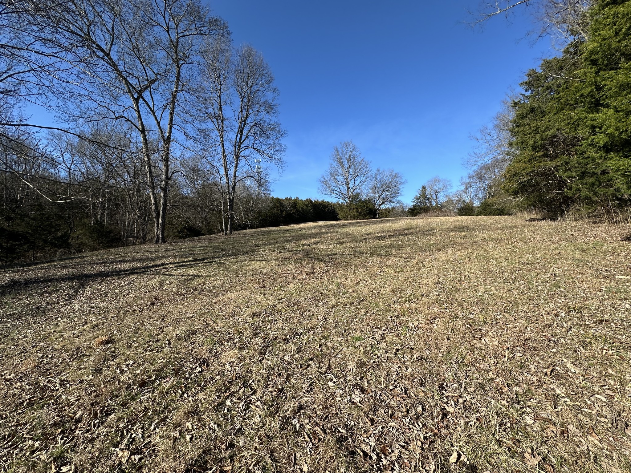 267 Grant Road Gordonsville, TN 38563 - Photo 36 of 65 Gallery Image 36