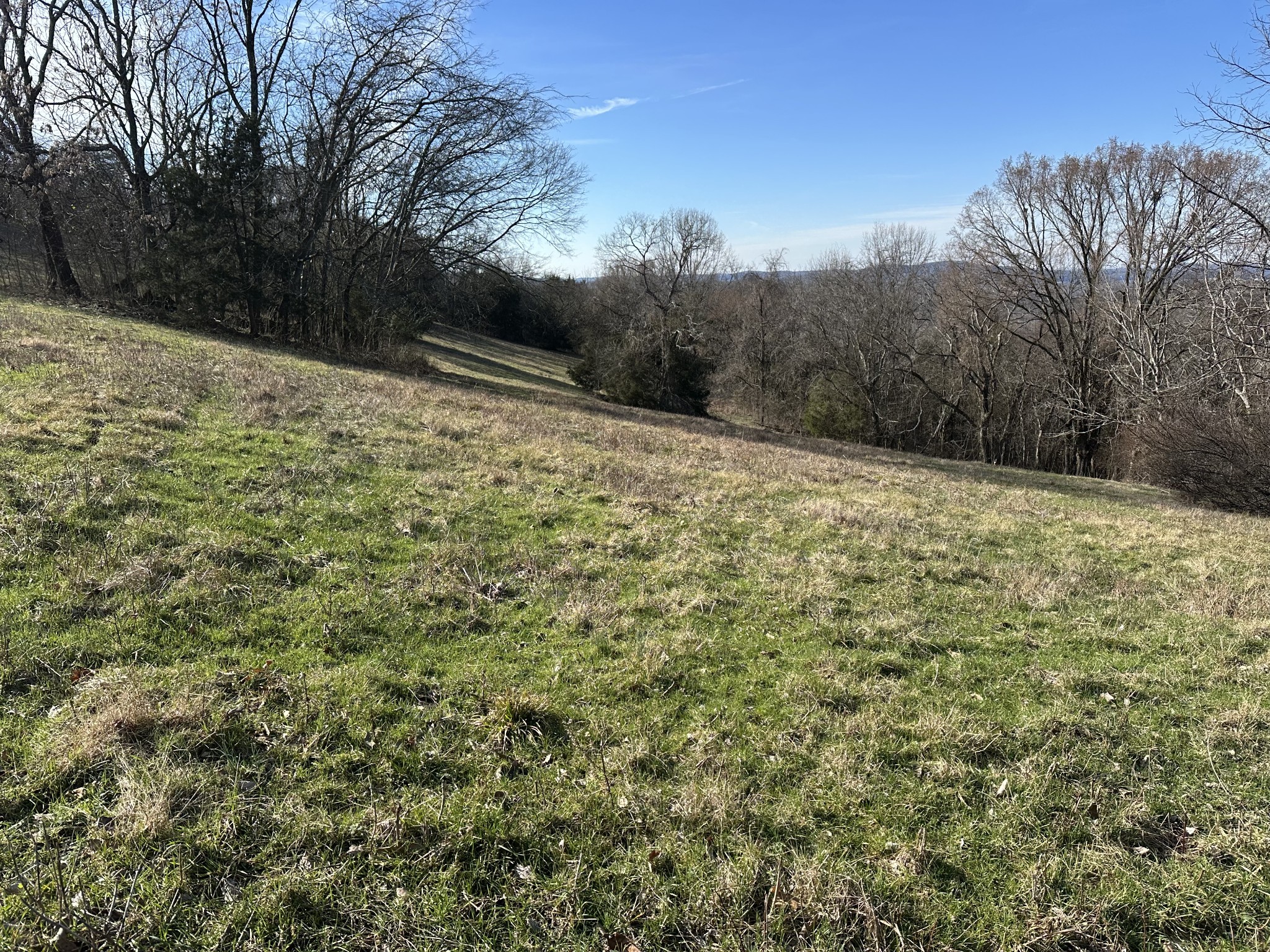 267 Grant Road Gordonsville, TN 38563 - Photo 43 of 65 Gallery Image 43