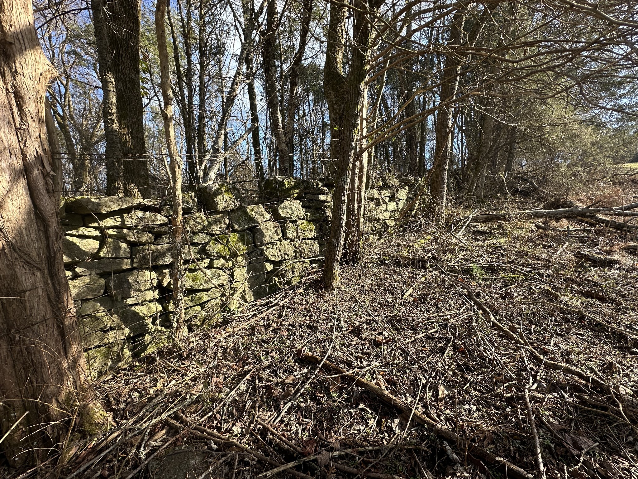 267 Grant Road Gordonsville, TN 38563 - Photo 46 of 65 Gallery Image 46