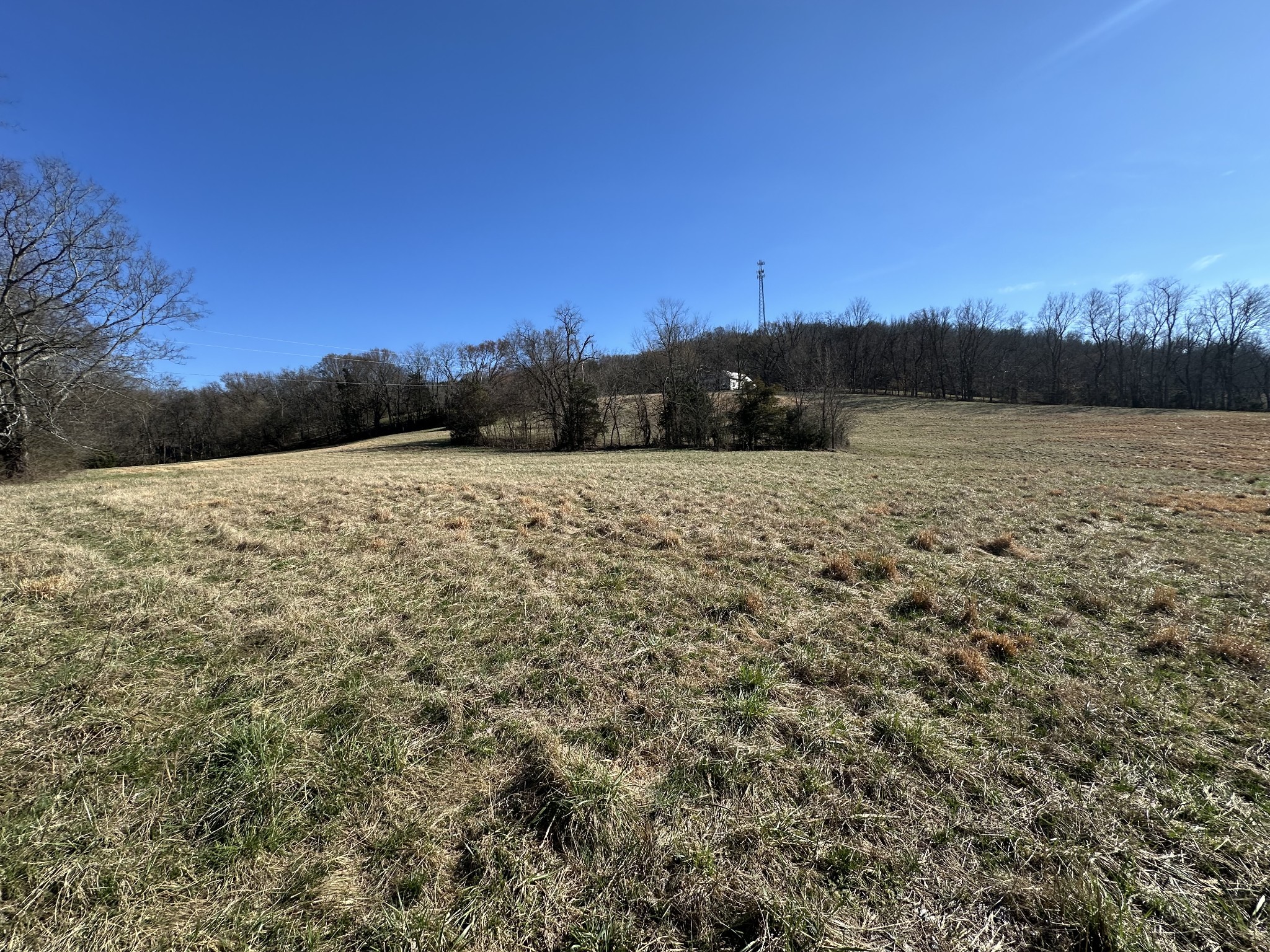 267 Grant Road Gordonsville, TN 38563 - Photo 8 of 65 Gallery Image 8