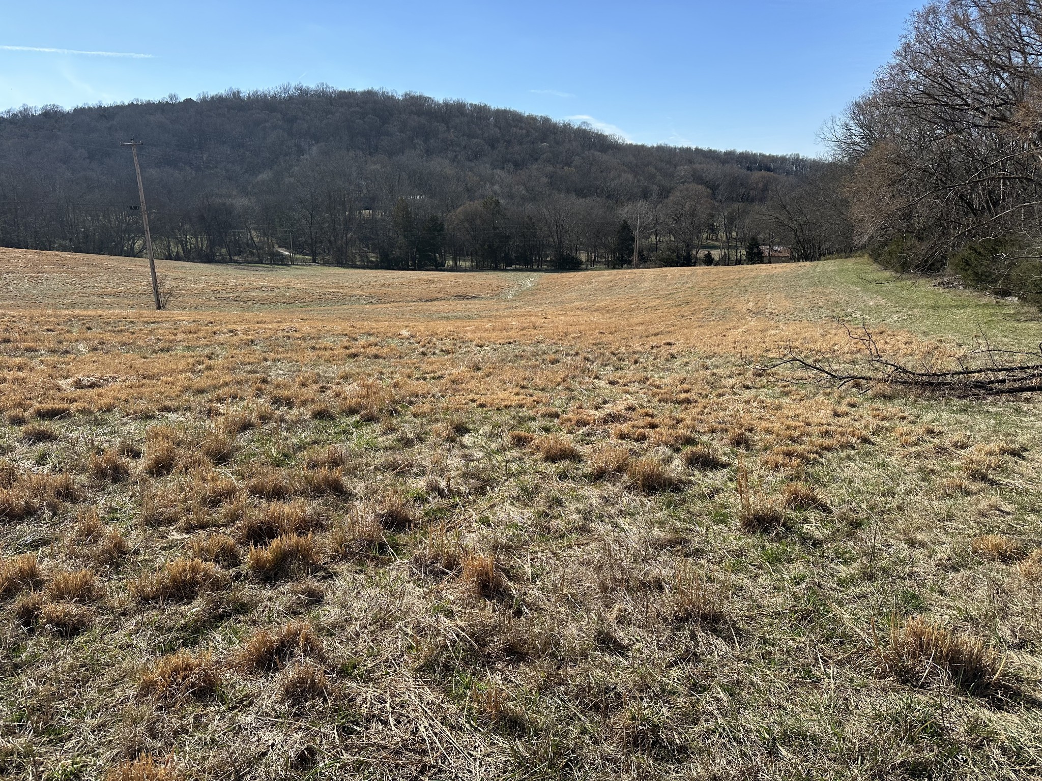 267 Grant Road Gordonsville, TN 38563 - Photo 9 of 65 Gallery Image 9