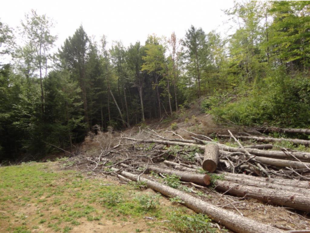 Lot 1.2 Fowler River Road Alexandria, NH 03222 - Photo 4 of 13
