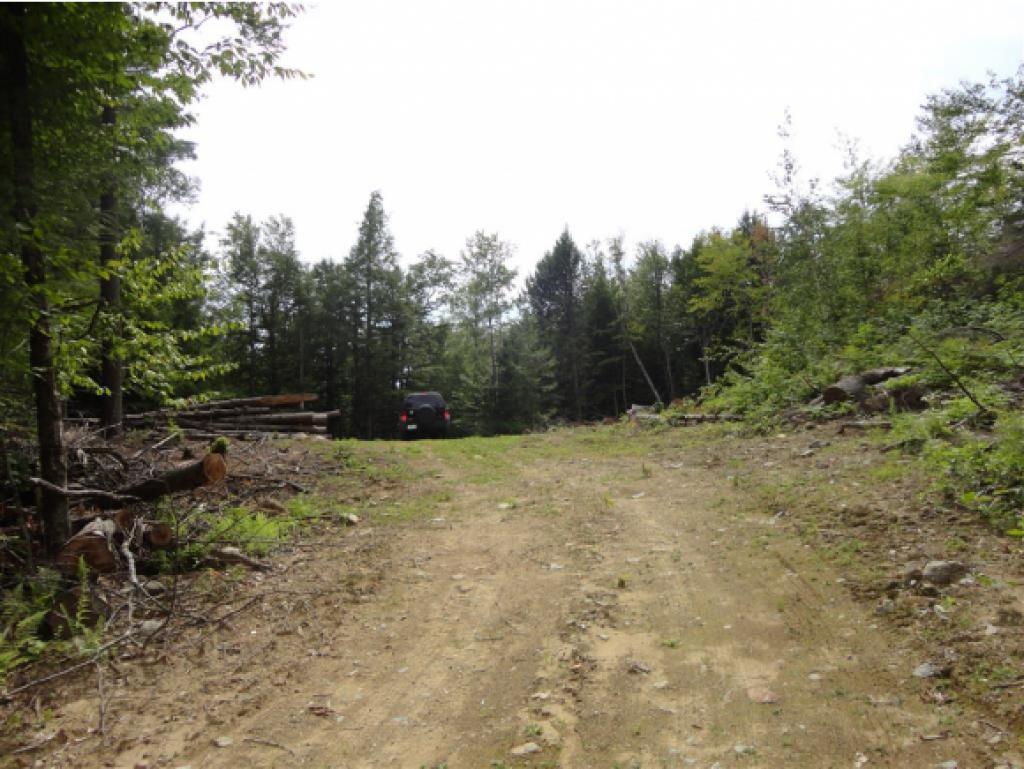Lot 1.2 Fowler River Road Alexandria, NH 03222 - Photo 5 of 13