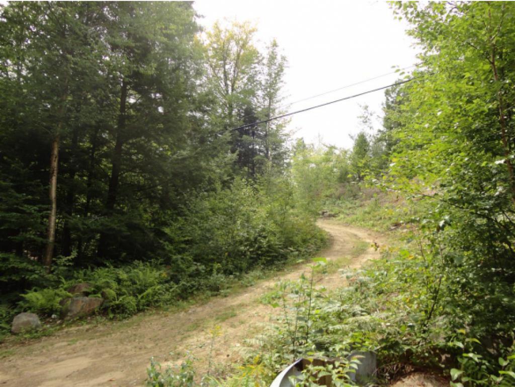 Lot 1.2 Fowler River Road Alexandria, NH 03222 - Photo 8 of 13