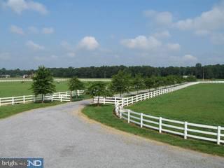 3100 Halltown Road Hartly, DE 19953 - Photo 6 of 6 Gallery Image 6