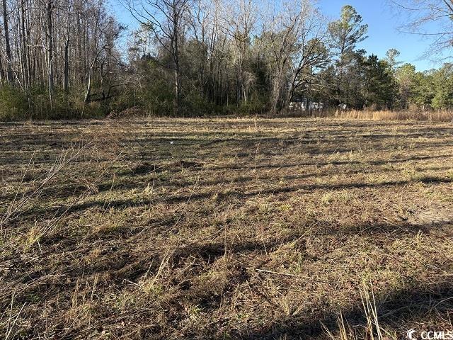 Ridgeview Lane Marion, SC 29571 - Photo 3 of 5 View of nature