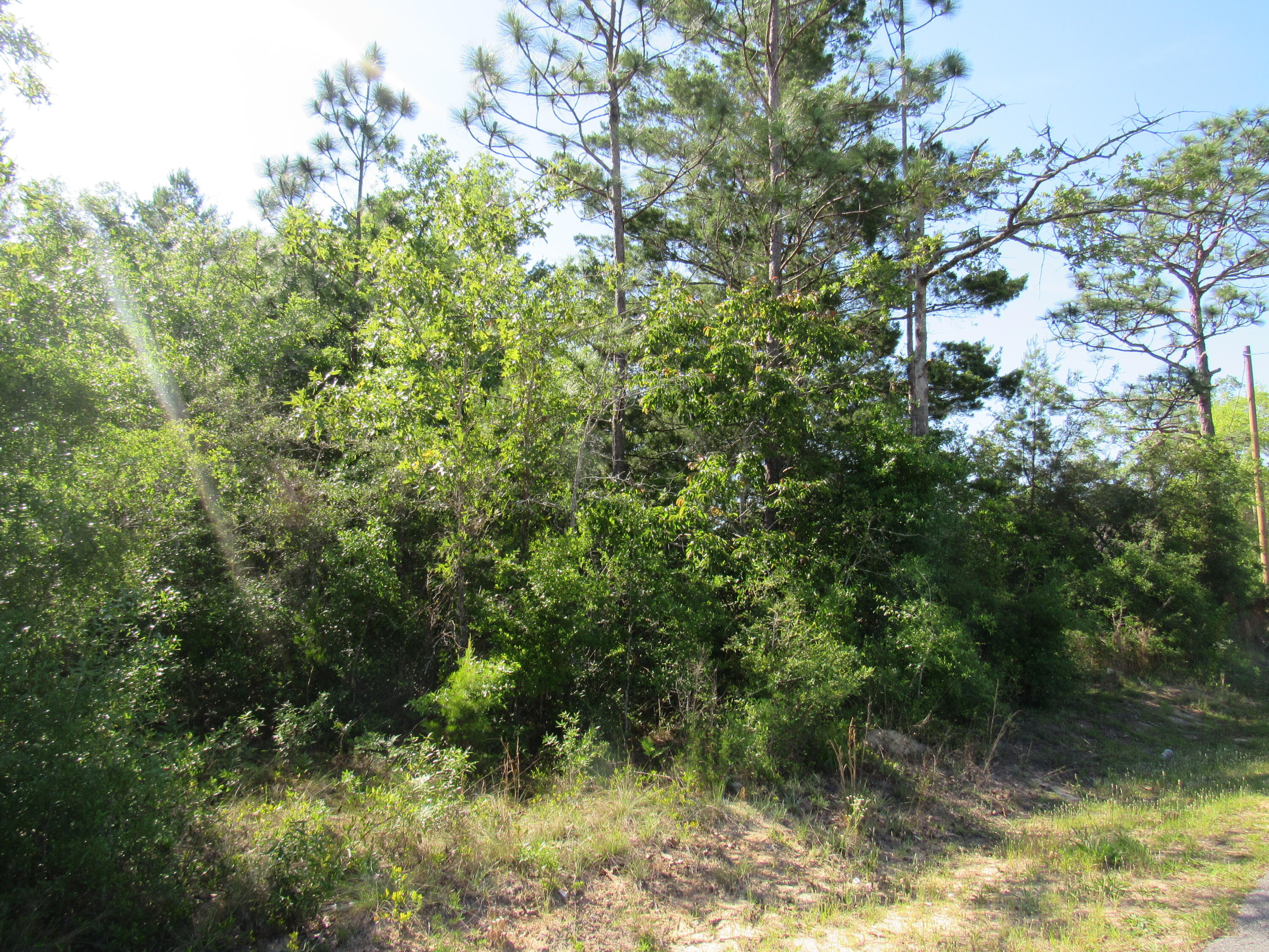 0 East Howlin Road, Unit LOT 7 DeFuniak Springs, FL 32433 - Photo 1 of 4 BF05CD21-A403-4336-B0F1-6088573D2E8B