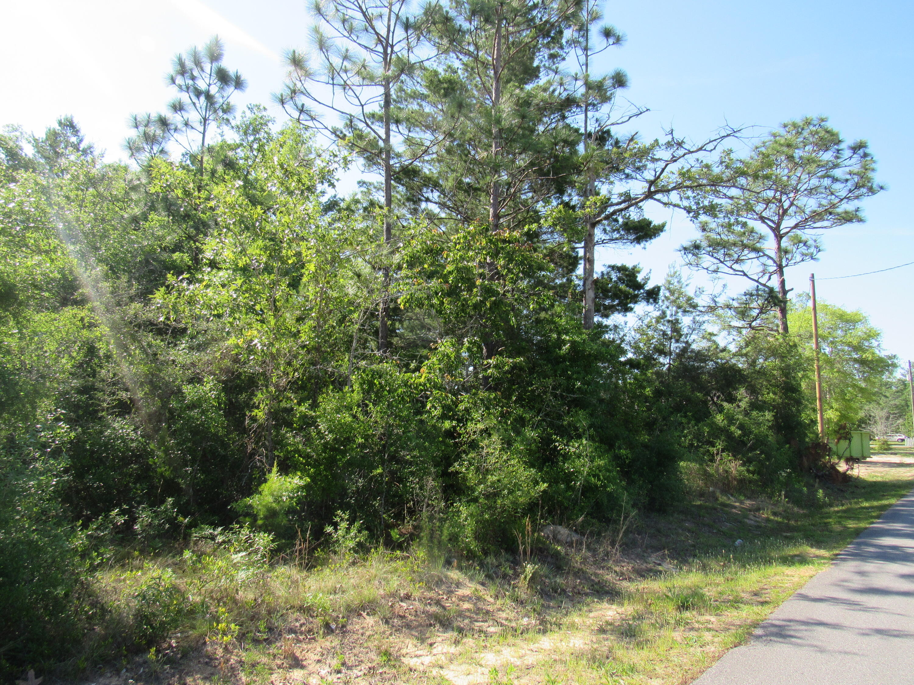 0 East Howlin Road, Unit LOT 7 DeFuniak Springs, FL 32433 - Photo 3 of 4 73925F44-54A8-4D00-84A3-230C60D7168B