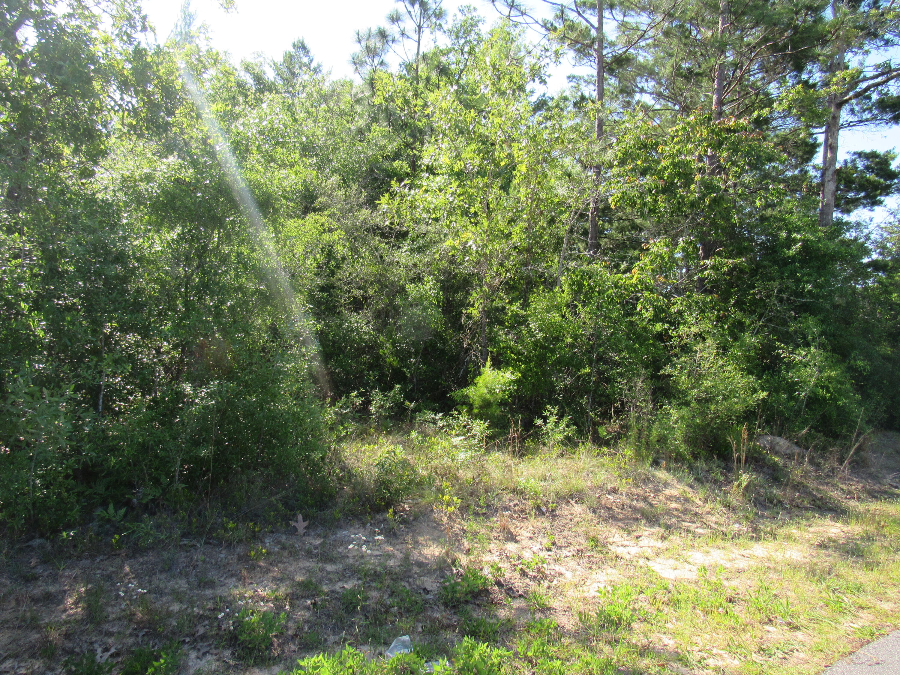 0 East Howlin Road, Unit LOT 7 DeFuniak Springs, FL 32433 - Photo 4 of 4 938D3D17-79FE-469D-B62C-48020D340681