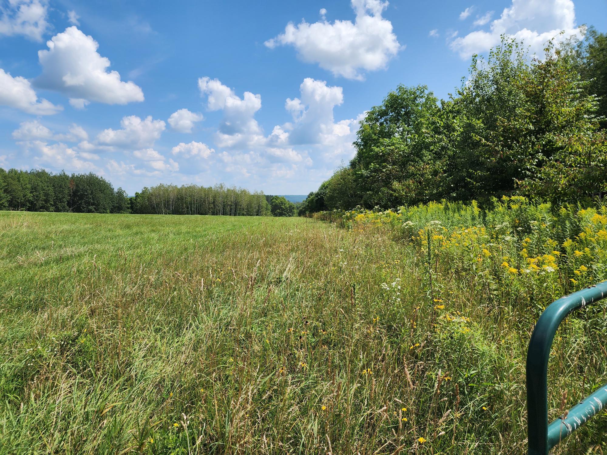On Sipple Road Crandon, WI 54520 - Photo 3 of 4 Gallery Image 3