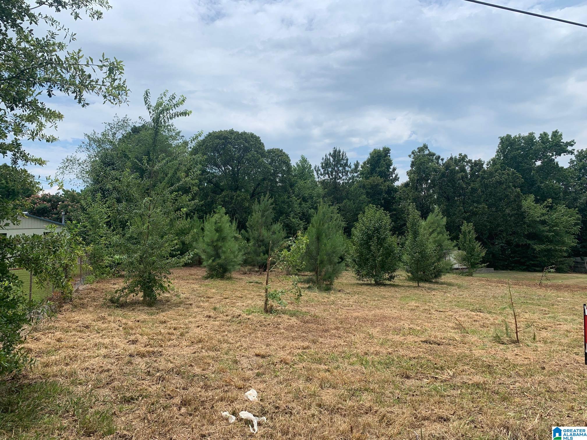 0 Rhodes Street, Unit 1 Anniston, AL 36206 - Photo 1 of 5