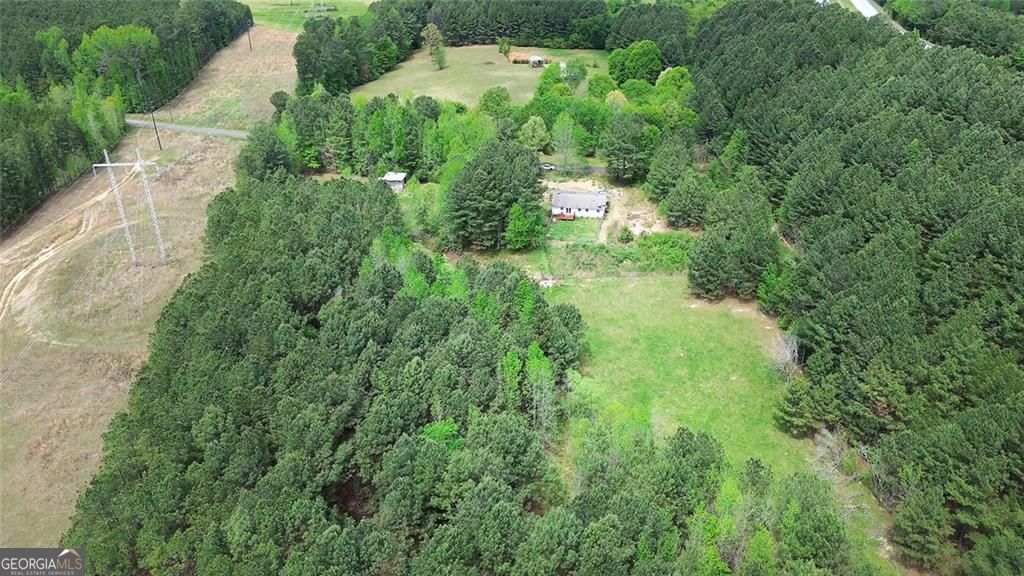 678 Wray Mine Road Buchanan, GA 30113 - Photo 5 of 49