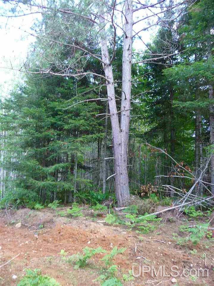 Tbd Tbd Road Republic, MI 49879 - Photo 6 of 21