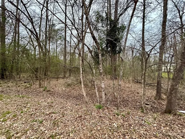 a view of a yard with large trees