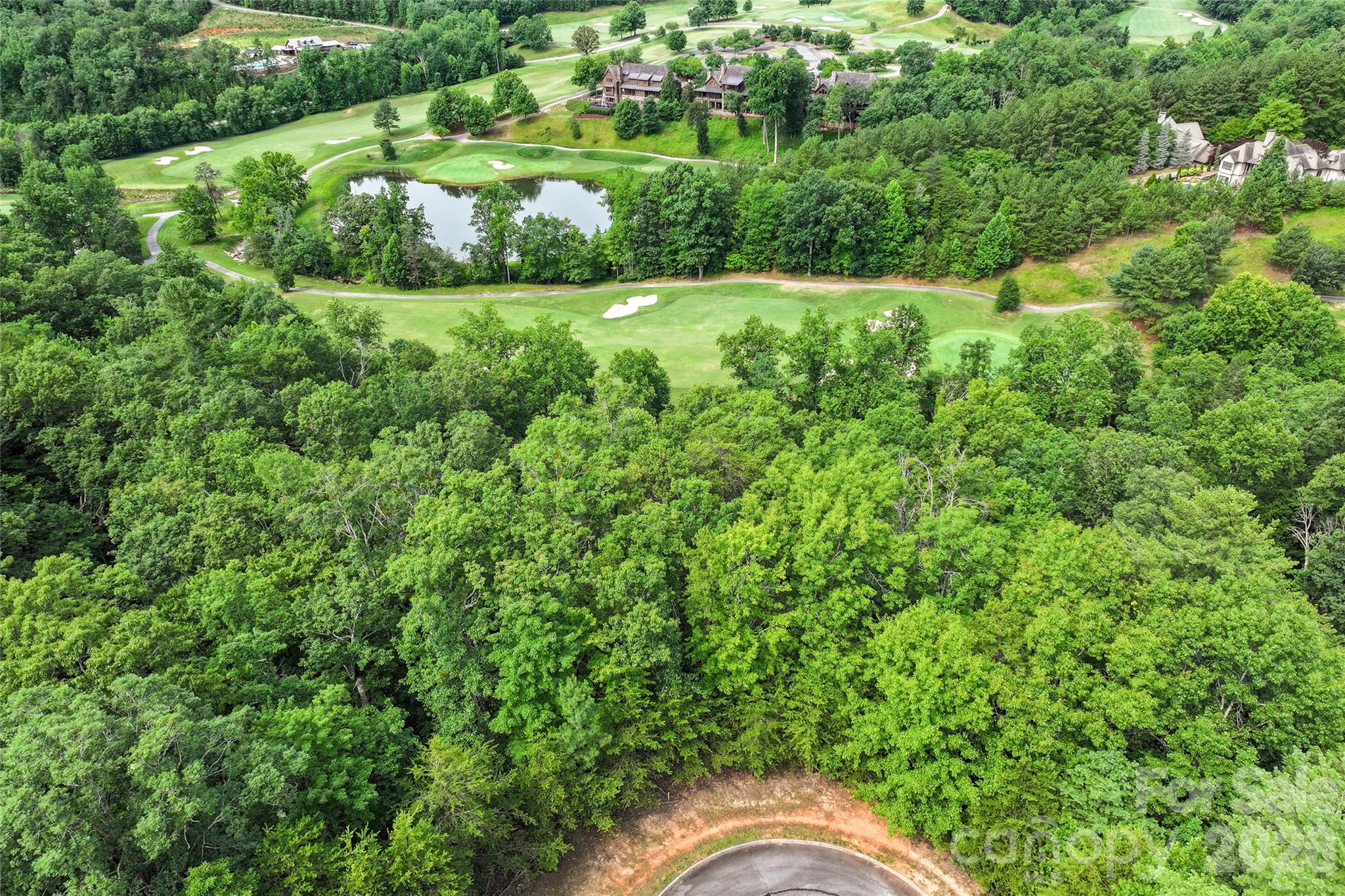 Lot 18 Stratford Pl Mill Spring Mill Spring, NC 28756 - Photo 6 of 18