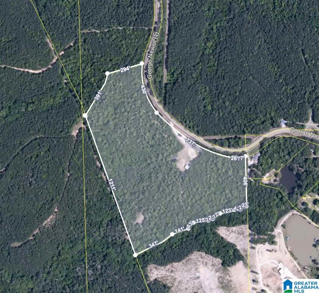 12400 George Newell Road Vance, AL 35490 - Photo 29 of 29