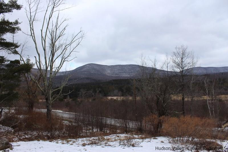 385 Sickler Road Woodstock, NY 12448 - Photo 28 of 33 Photo 29