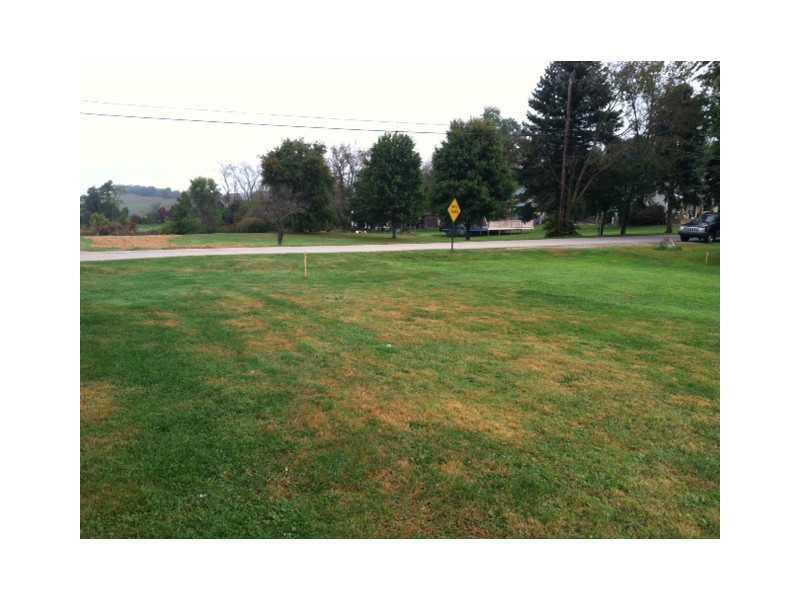 404 Republican Street Perryopolis, PA 15473 - Photo 22 of 23 Yard/Garden.