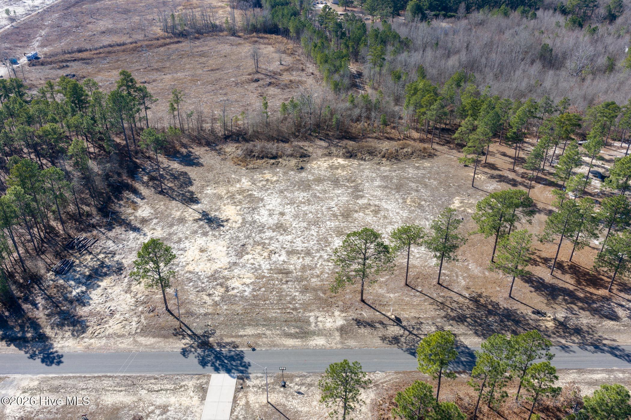 828 Marks Creek Church Road Hamlet, NC 28345 - Photo 12 of 18 DJI_20260112125031_0271_D
