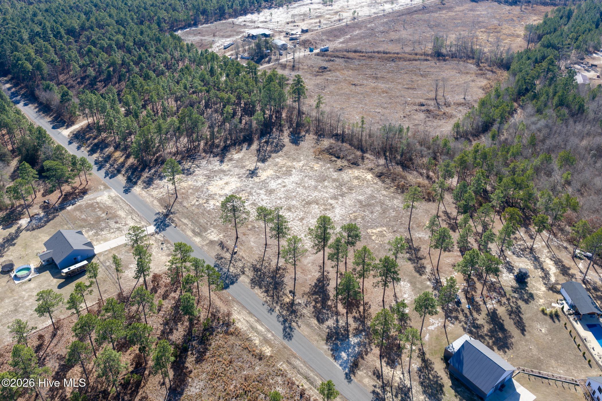 828 Marks Creek Church Road Hamlet, NC 28345 - Photo 16 of 18 DJI_20260112125059_0273_D