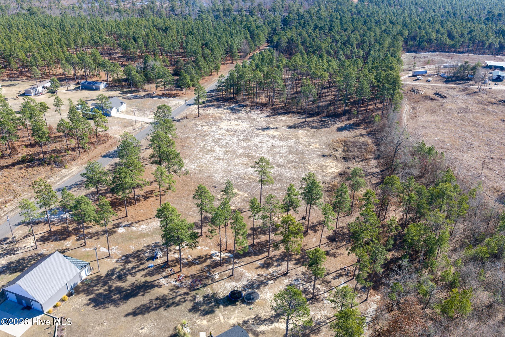 828 Marks Creek Church Road Hamlet, NC 28345 - Photo 4 of 18 DJI_20260112124845_0259_D