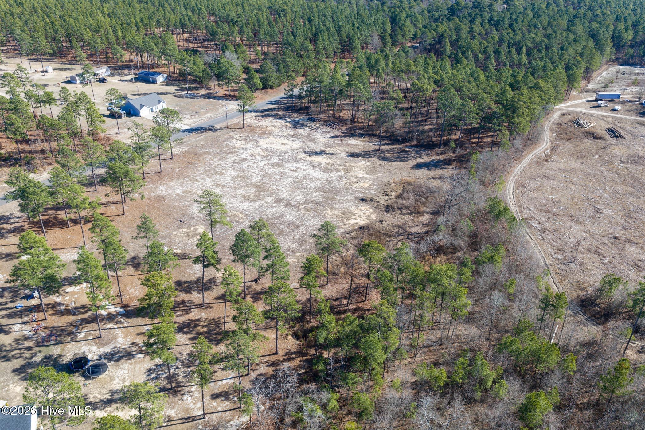 828 Marks Creek Church Road Hamlet, NC 28345 - Photo 5 of 18 DJI_20260112124854_0260_D