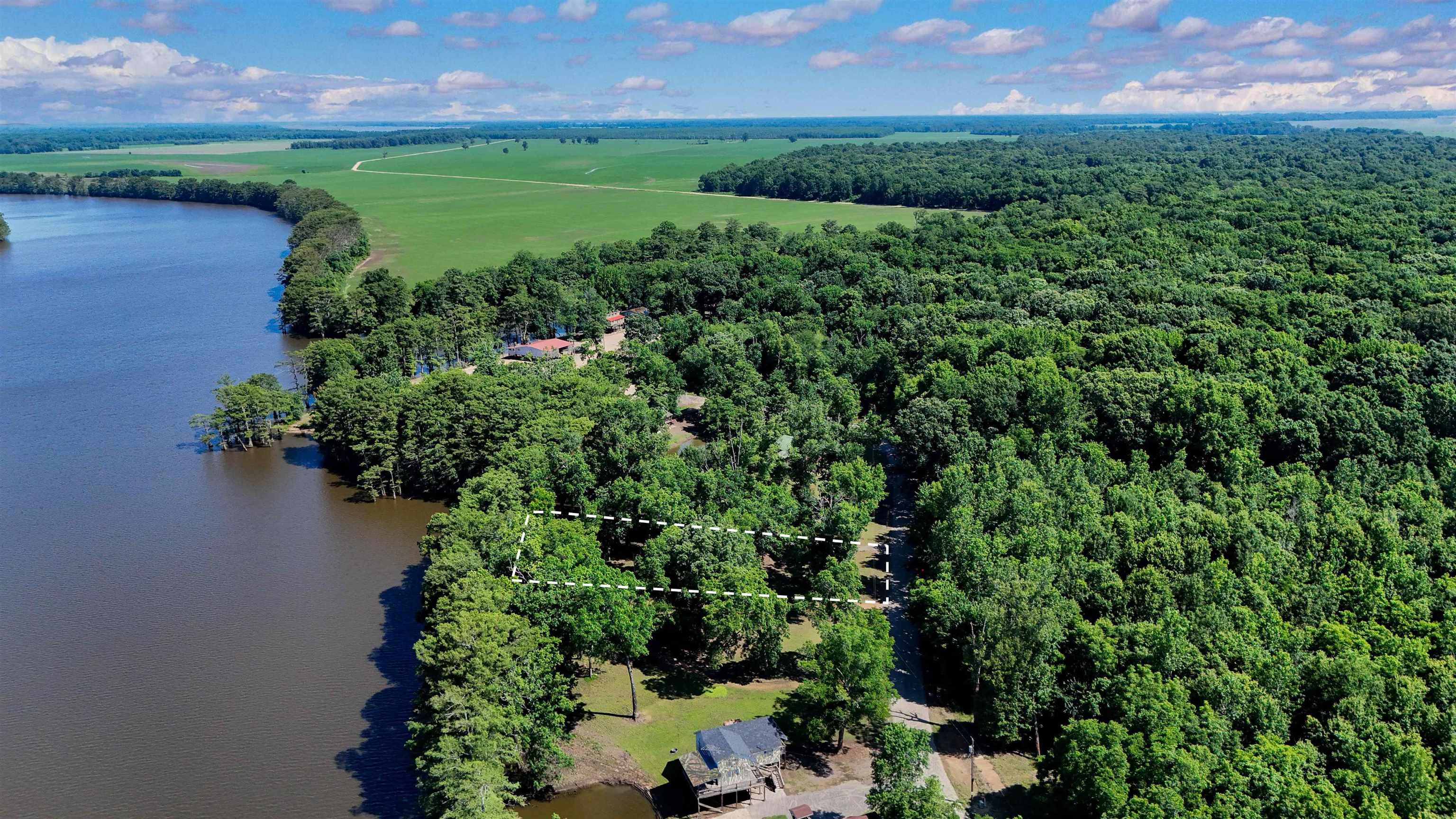 56 Chisholm Lake Road Ripley, TN 38063 - Photo 10 of 32 Gallery Image 10