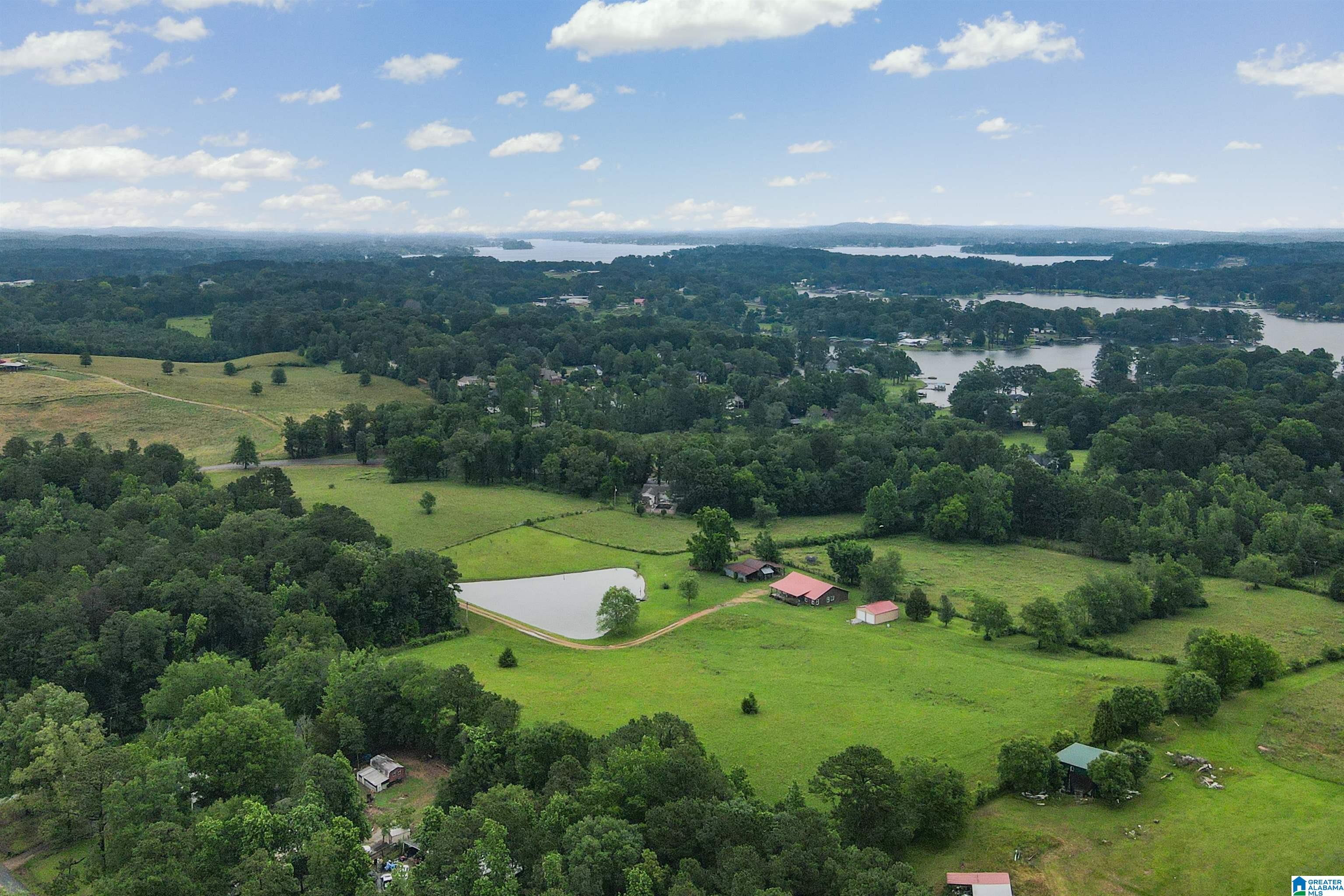 200 Treasure Island Road Cropwell, AL 35054 - Photo 44 of 48