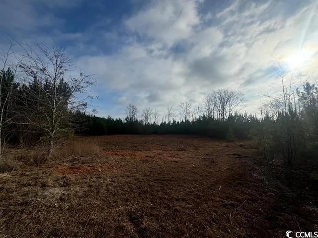 $99,000 | Tbd Lake Circle, Loris, SC 29569