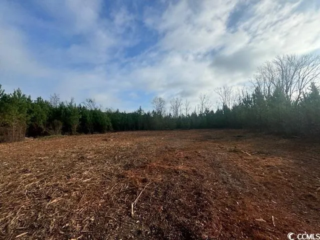 $99,000 | Tbd Lake Circle, Loris, SC 29569
