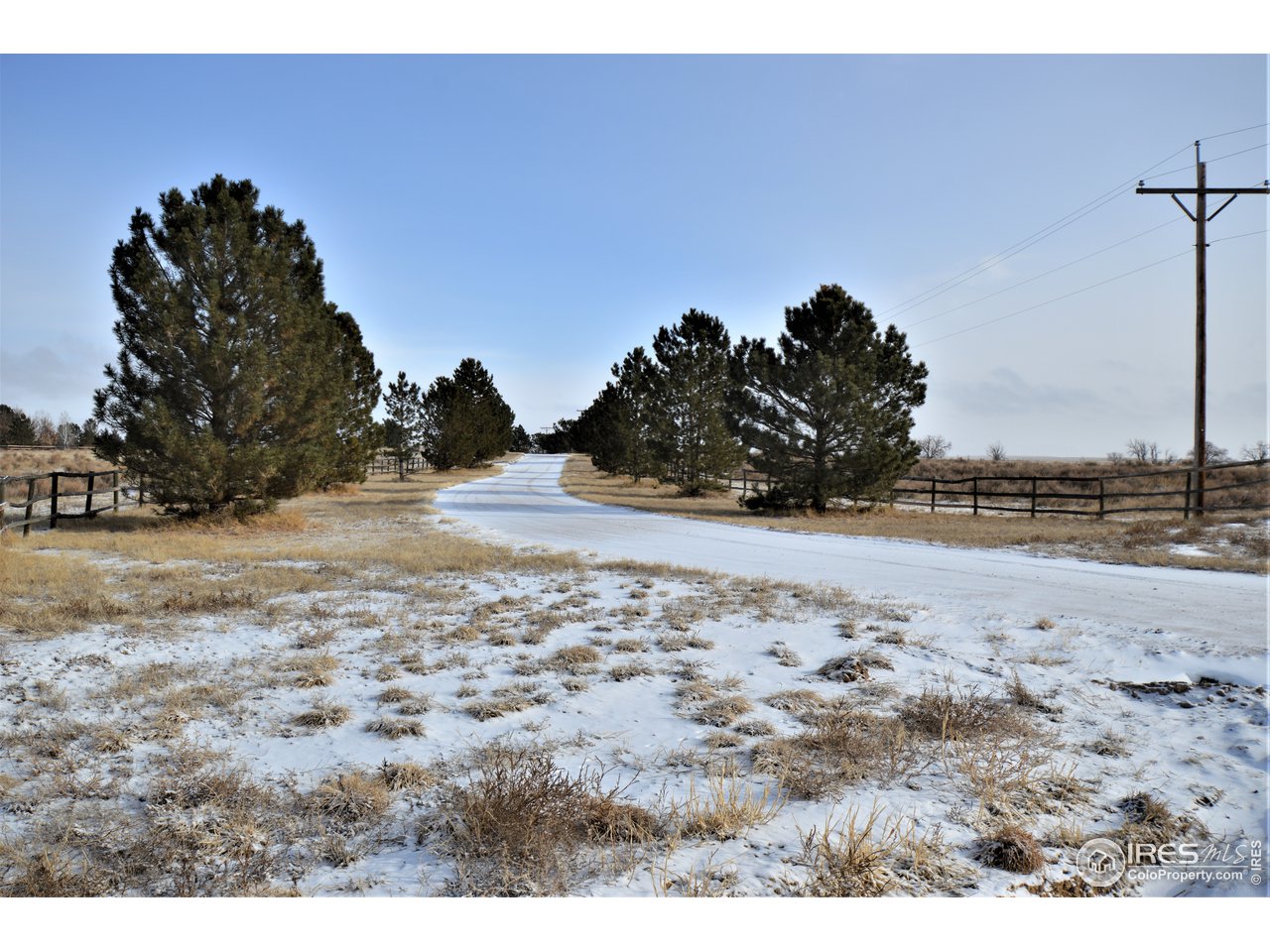 12031 Co Road Weldona, CO 80653 - Photo 2 of 40 Tree Lined Driveway and 47 Fenced Acres