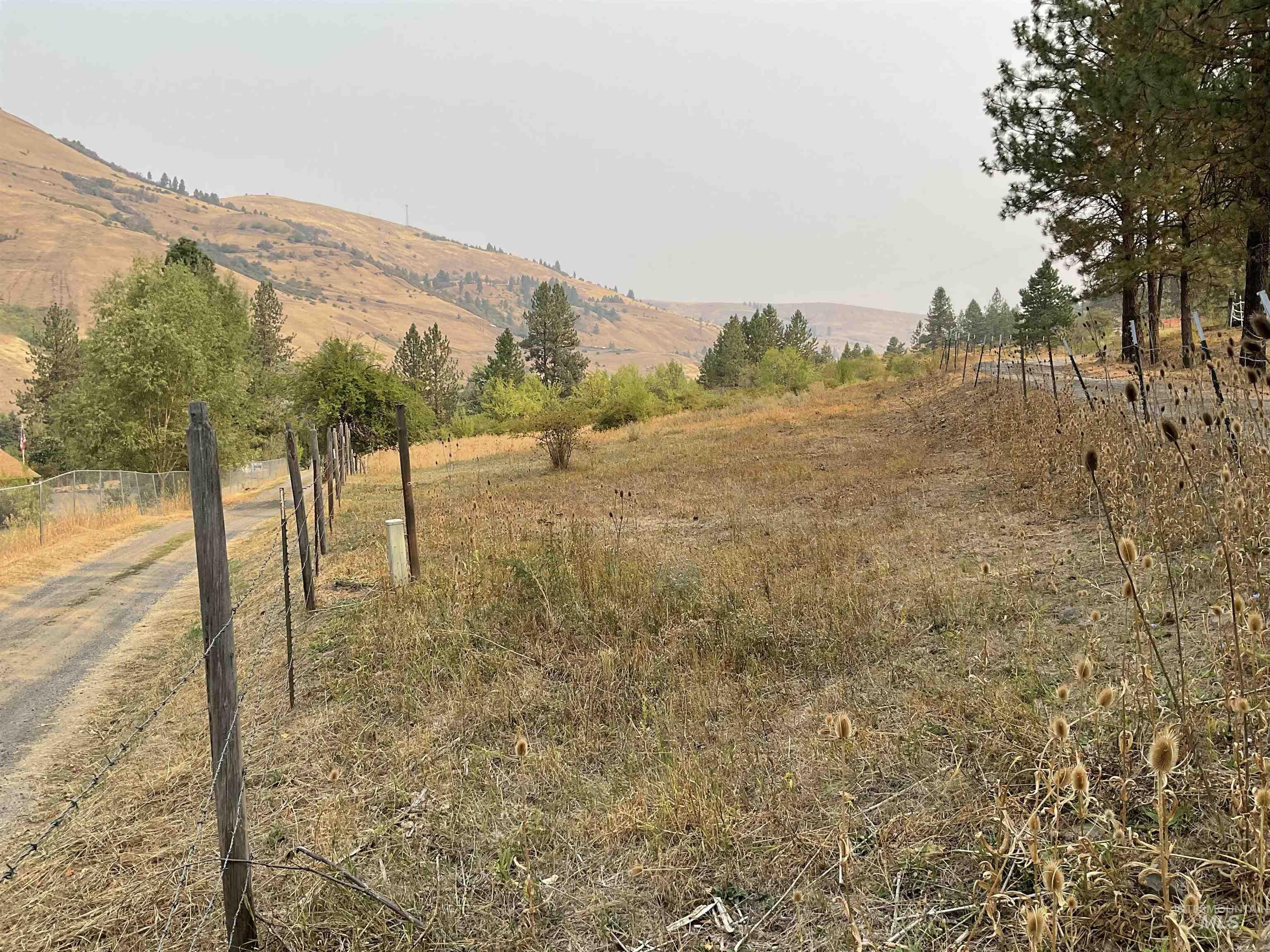 13790 Cross Farm Road Juliaetta, ID 83535 - Photo 18 of 22 View of yard featuring a rural view and a mountain view