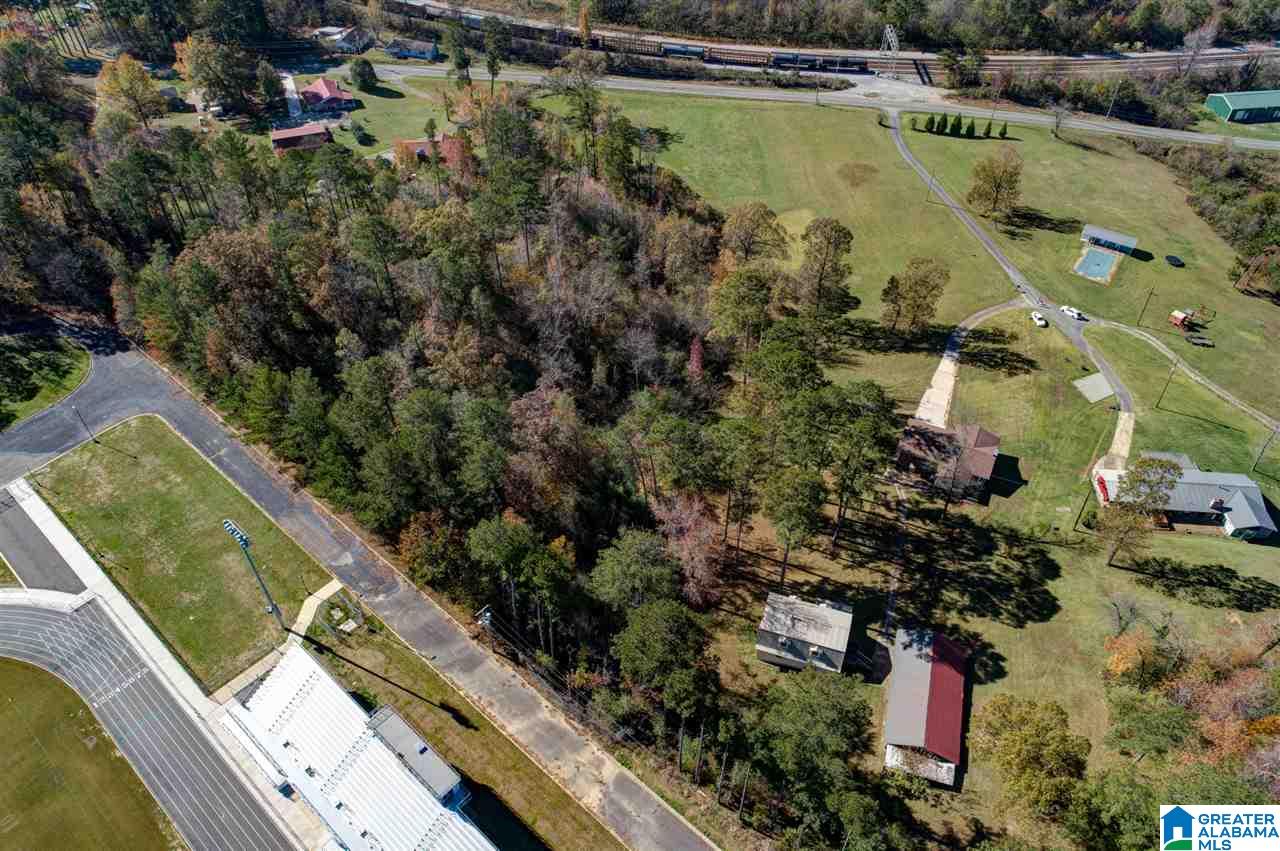313 Old Black Crk Road Birmingham, AL 35217 - Photo 10 of 49