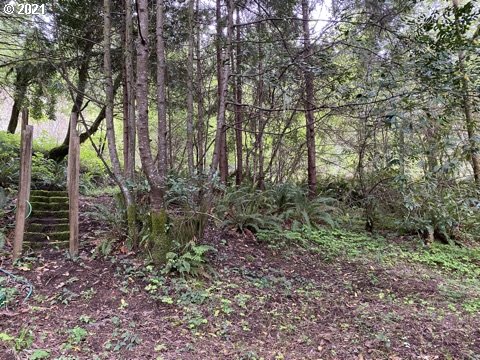 66942 East Fork Road Coos Bay, OR 97420 - Photo 14 of 32