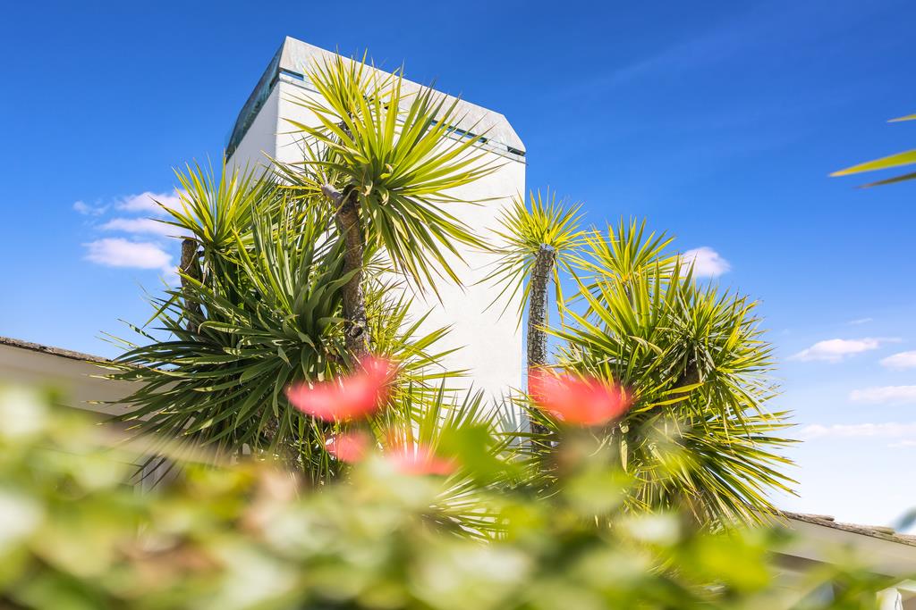 2863 Cuesta Way Carmel, CA 93923 - Photo 53 of 59 a view of a palm plant that is in front of a building