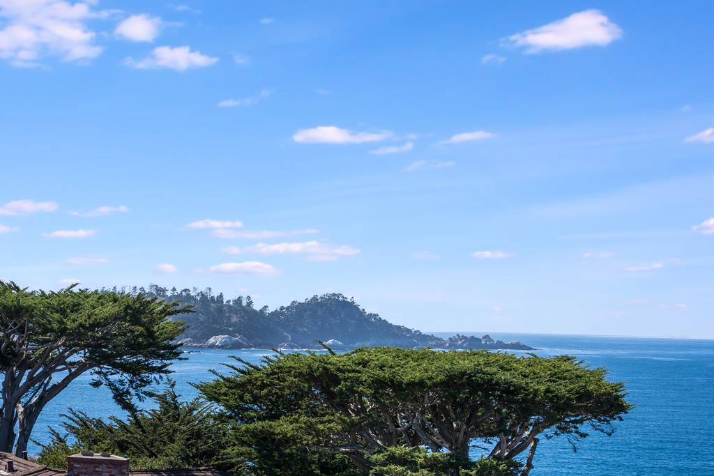 2863 Cuesta Way Carmel, CA 93923 - Photo 55 of 59 a view of a bunch of trees in a field