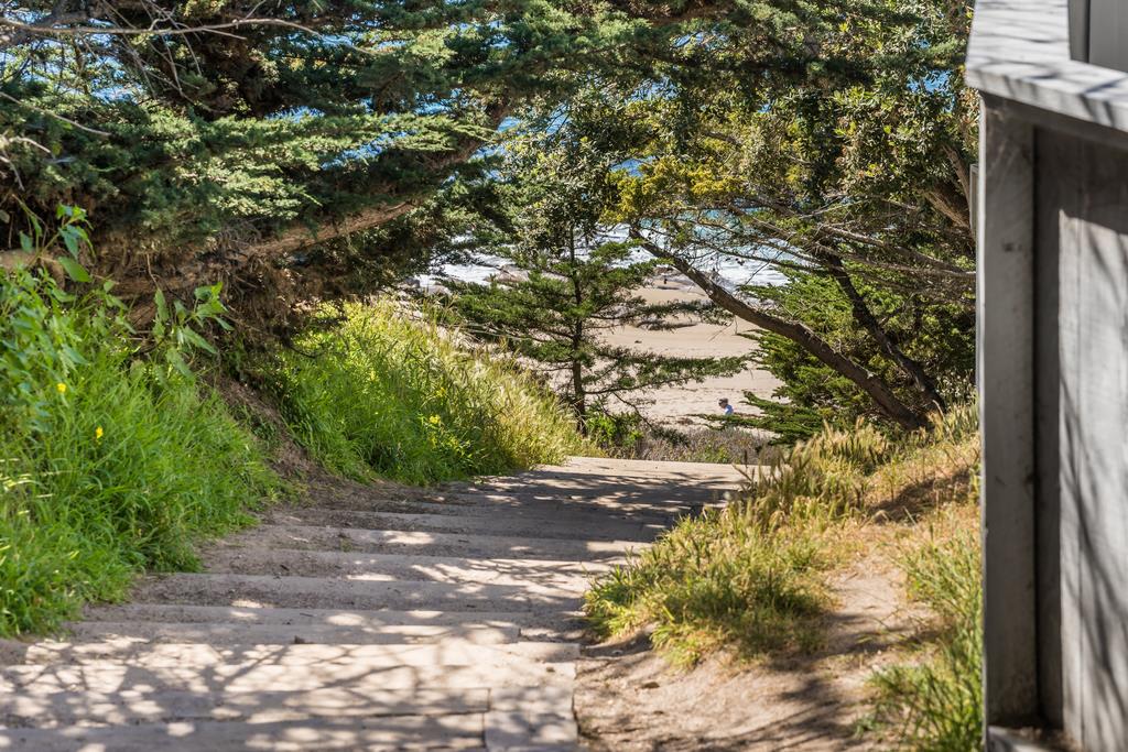 2863 Cuesta Way Carmel, CA 93923 - Photo 57 of 59 a view of a yard with plants and large trees